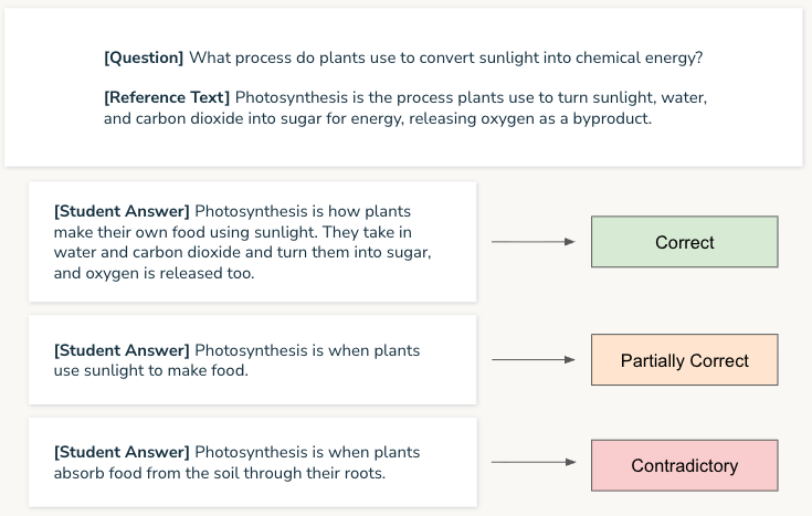 An example question, reference answer, and graded student responses.